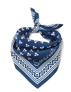 a blue bandana